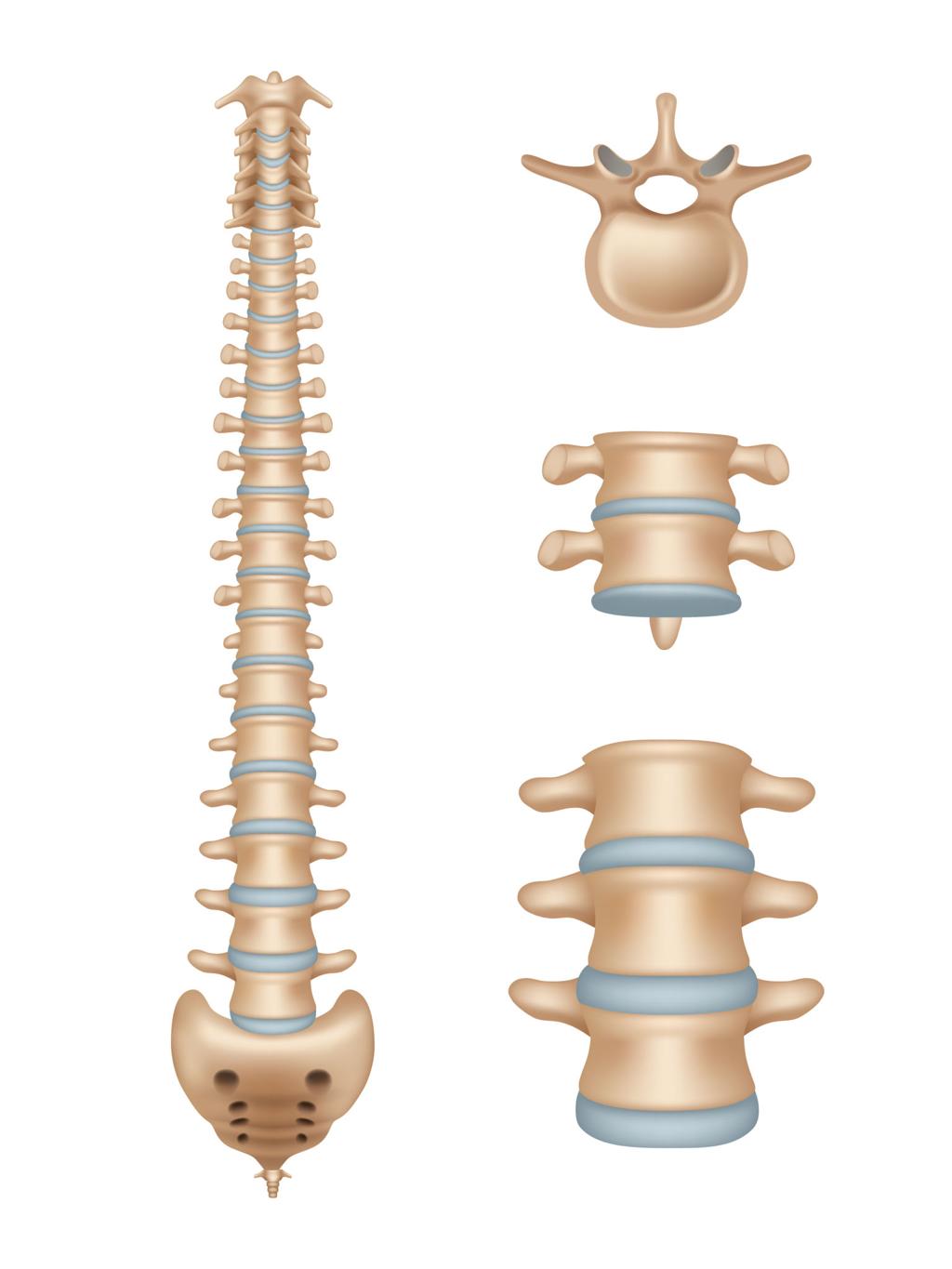 Spine Care